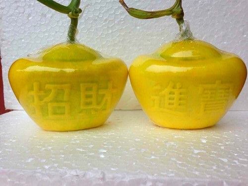 Trái cây tạo hình từ Trung Quốc - ảnh 2