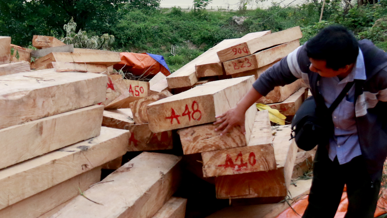 Shop TIN 6/8: Chính phủ chỉ đạo xem xét hình sự sai phạm ông Trịnh Xuân Thanh - ảnh 9