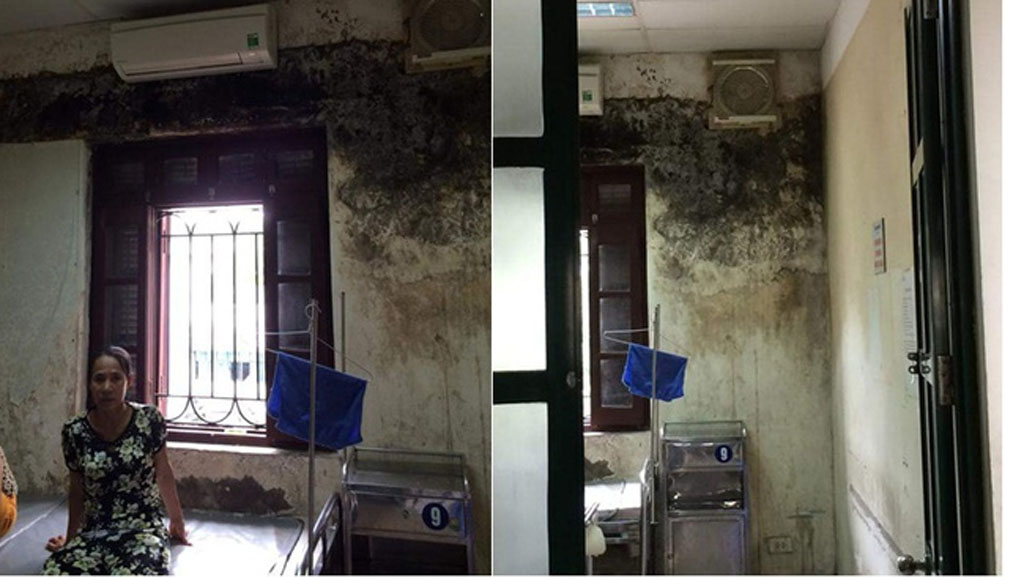 Shop TIN 19/5:Vụ án oan thế kỷ Huỳnh Văn Nén: Đã bắt kẻ giết người là Nguyễn Thọ - ảnh 11