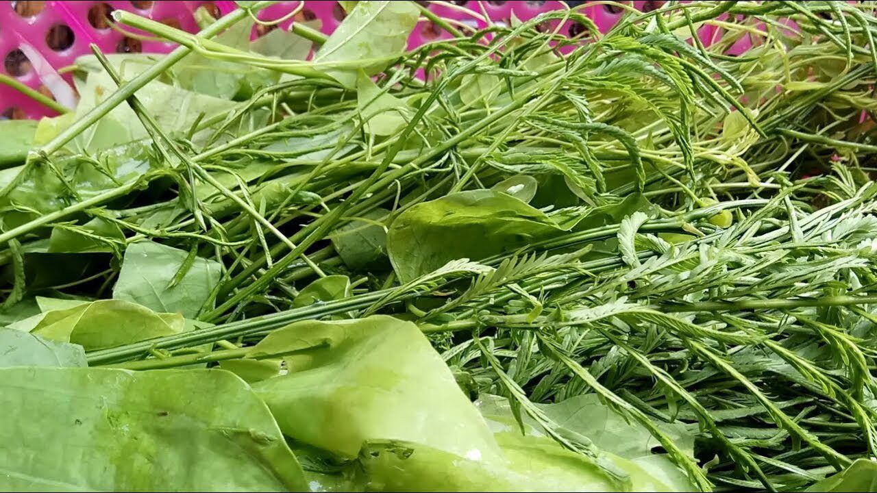 thu rau dung xa ca met van hoi the ma xao thit lai thanh dac san hinh anh 1