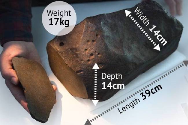 tim duoc khoi la ngo la vang, hoa ra thu quy hiem co the doi lay