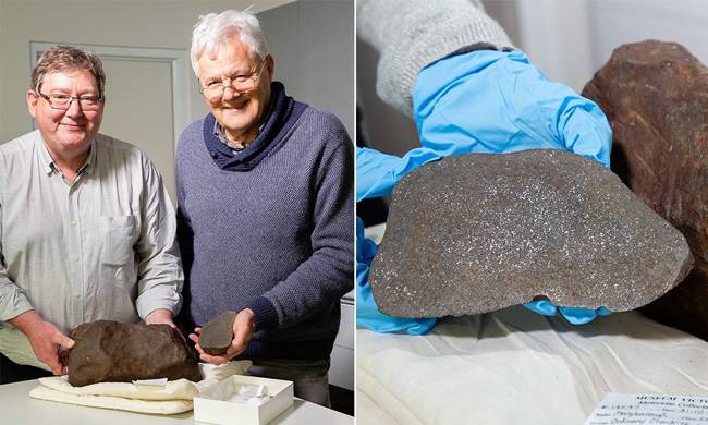 tim duoc khoi la ngo la vang, hoa ra thu quy hiem co the doi lay