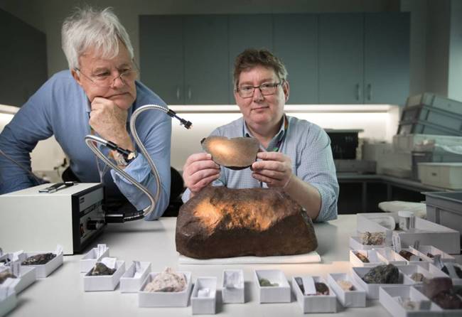 tim duoc khoi la ngo la vang, hoa ra thu quy hiem co the doi lay