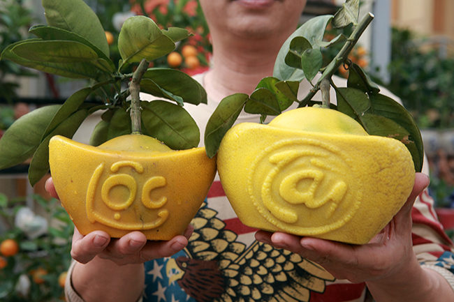 buoi dien hinh thoi vang in chu tai - loc gia 1,5 trieu/cap choi tet hinh anh 13