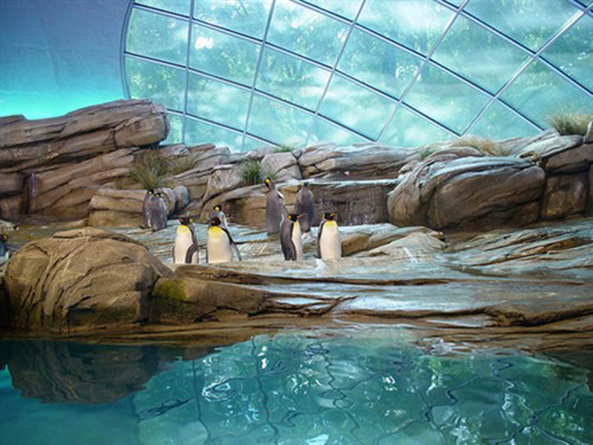 10 vuon thu nen tham quan mot lan khi di du lich co gi dac biet? hinh anh 7