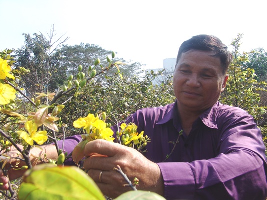 choi sanh nhu dan sai gon: phai la
