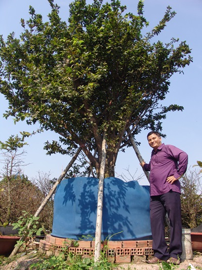 choi sanh nhu dan sai gon: phai la