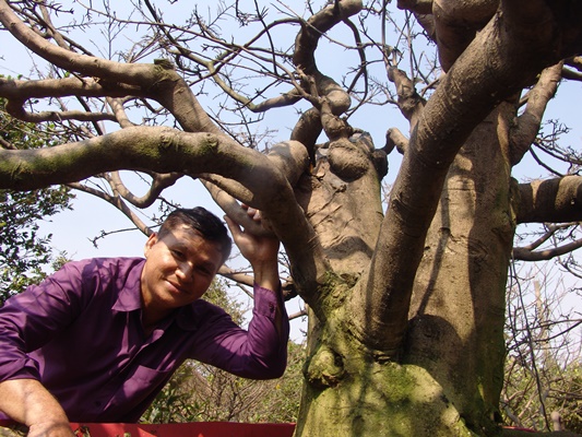 choi sanh nhu dan sai gon: phai la