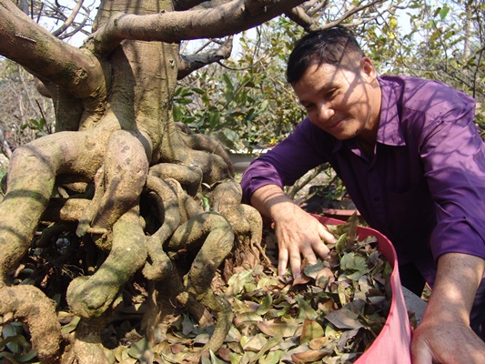 choi sanh nhu dan sai gon: phai la