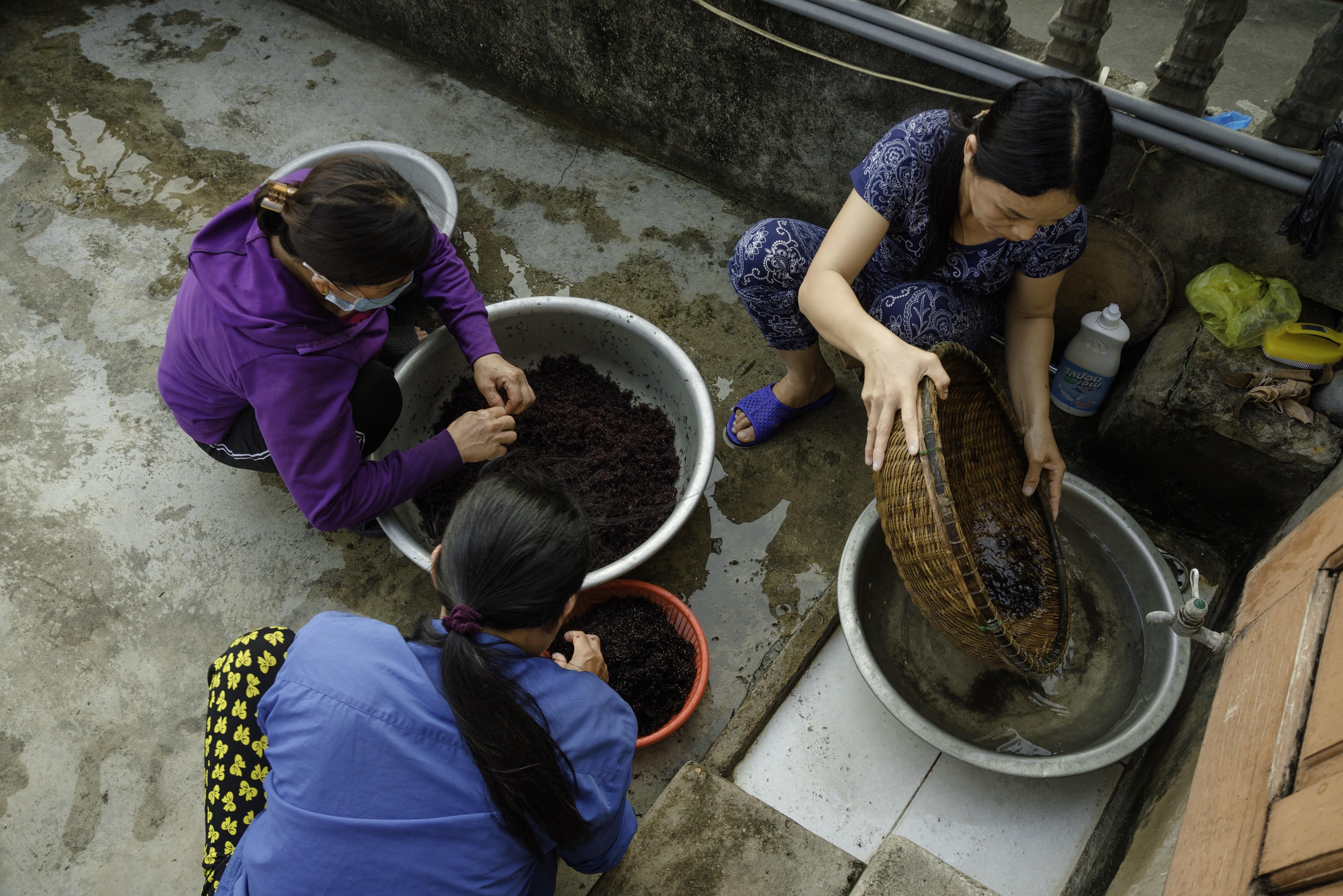 la ky thu banh lam tu rau cao o bien, an kem voi ca kho moi ngon hinh anh 4