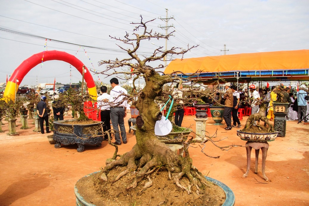 ngam “khung long bao chua, vu nu chan dai” o hoi thi