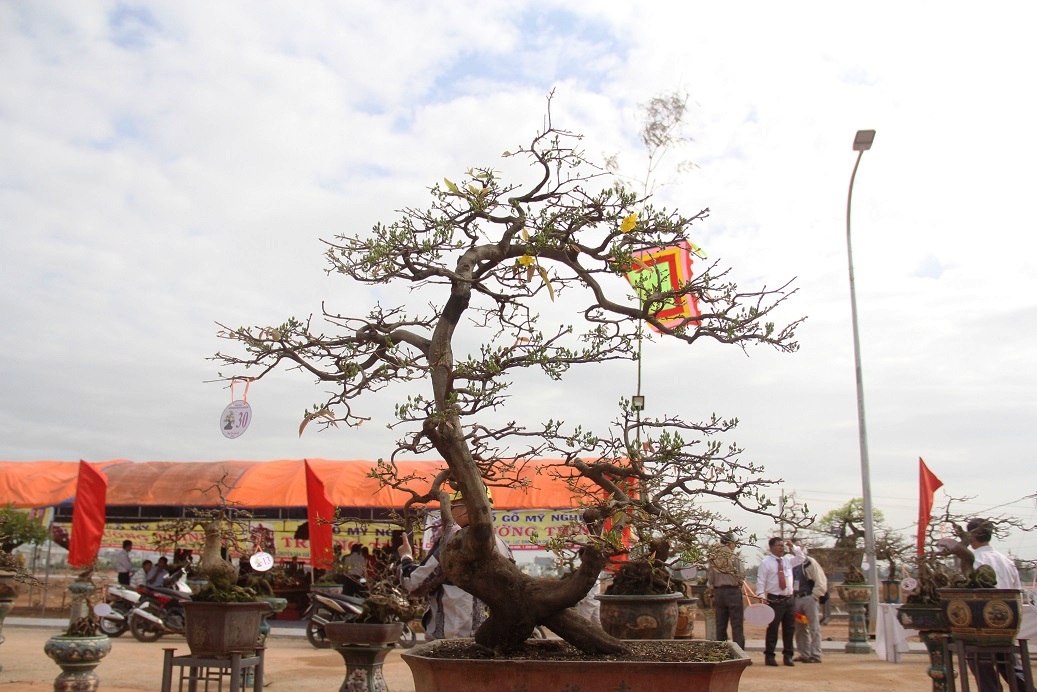 ngam “khung long bao chua, vu nu chan dai” o hoi thi