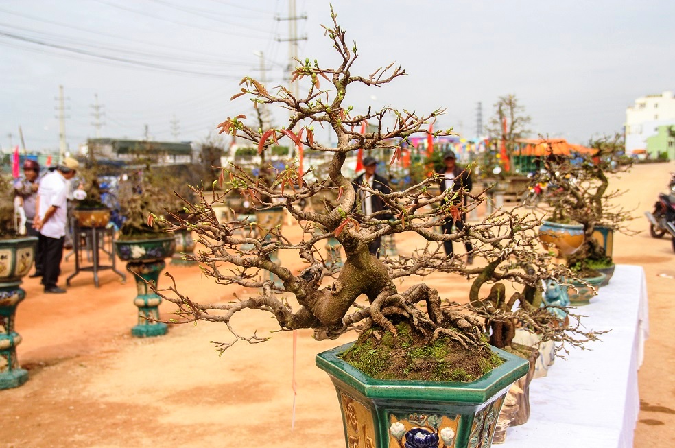 ngam “khung long bao chua, vu nu chan dai” o hoi thi