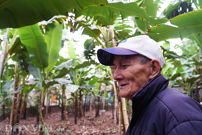 chuoi “tien vua” que chi pheo gia tang chong mat van chay hang tet hinh anh 5