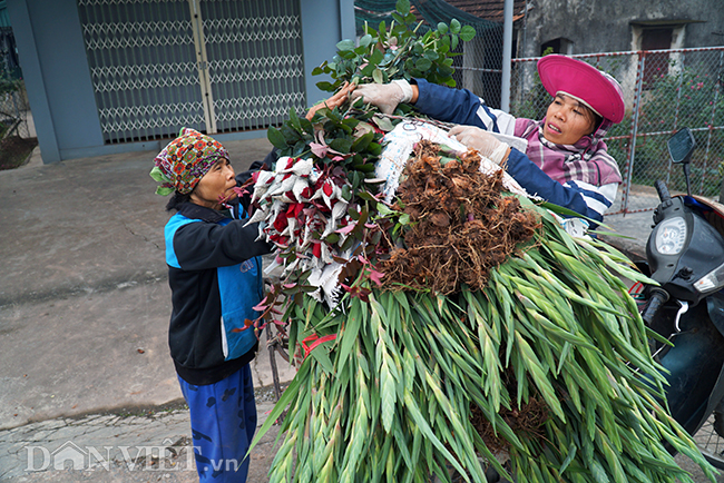 chang ngo ngay gan ha noi lai co lang hoa dep nao long nhuong nay hinh anh 12
