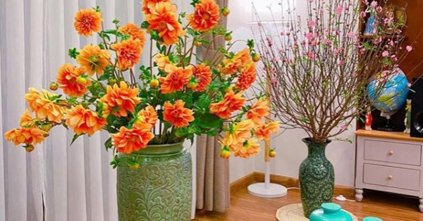 Mê mẩn với những bình hoa ngập sắc xuân của chị gái Hà thành