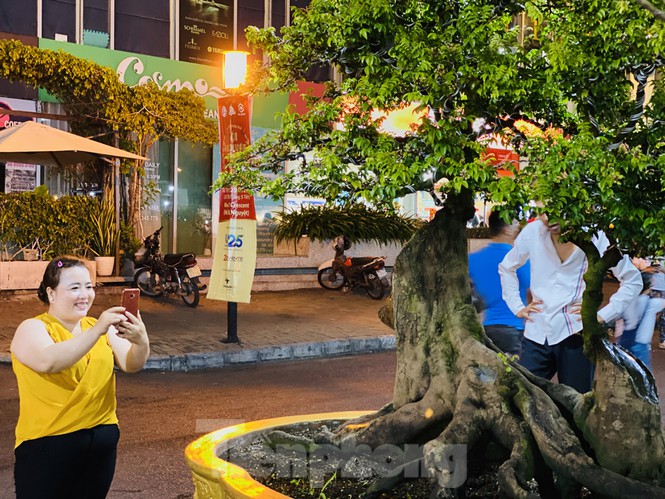 khe 100 tuoi hinh dau chuot doc la, gia 500 trieu gay xon xao hinh anh 10