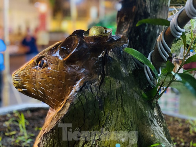 khe 100 tuoi hinh dau chuot doc la, gia 500 trieu gay xon xao hinh anh 4