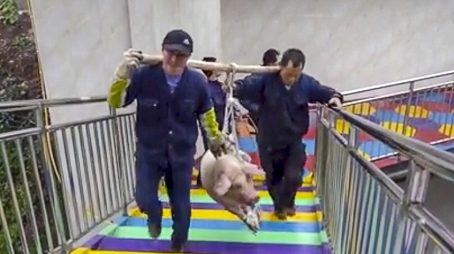 cong vien tq treo lon song lo lung o do cao 70m gay tranh cai hinh anh 2