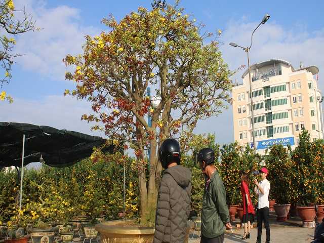 mai co khung khach tra 3 ty khong ban cho thue da dut tui 100 trieu hinh anh 8