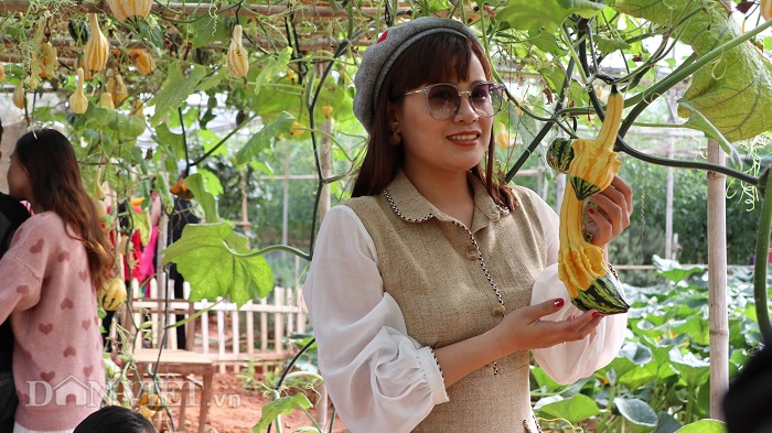 lac vao khu vuon dieu ky toan bau bi doc la cua lao nong da lat hinh anh 9