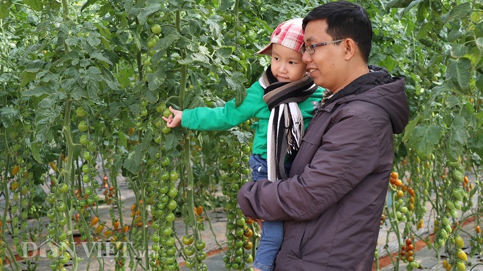 lac vao khu vuon dieu ky toan bau bi doc la cua lao nong da lat hinh anh 13
