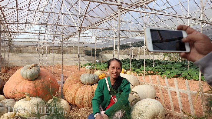 lac vao khu vuon dieu ky toan bau bi doc la cua lao nong da lat hinh anh 8