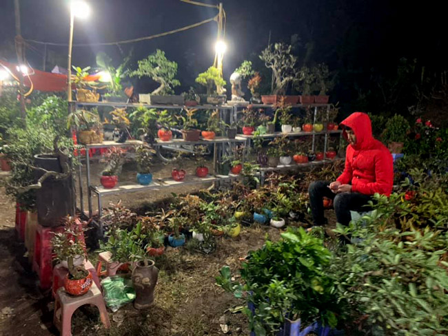 lac vao the gioi do co trong phien cho