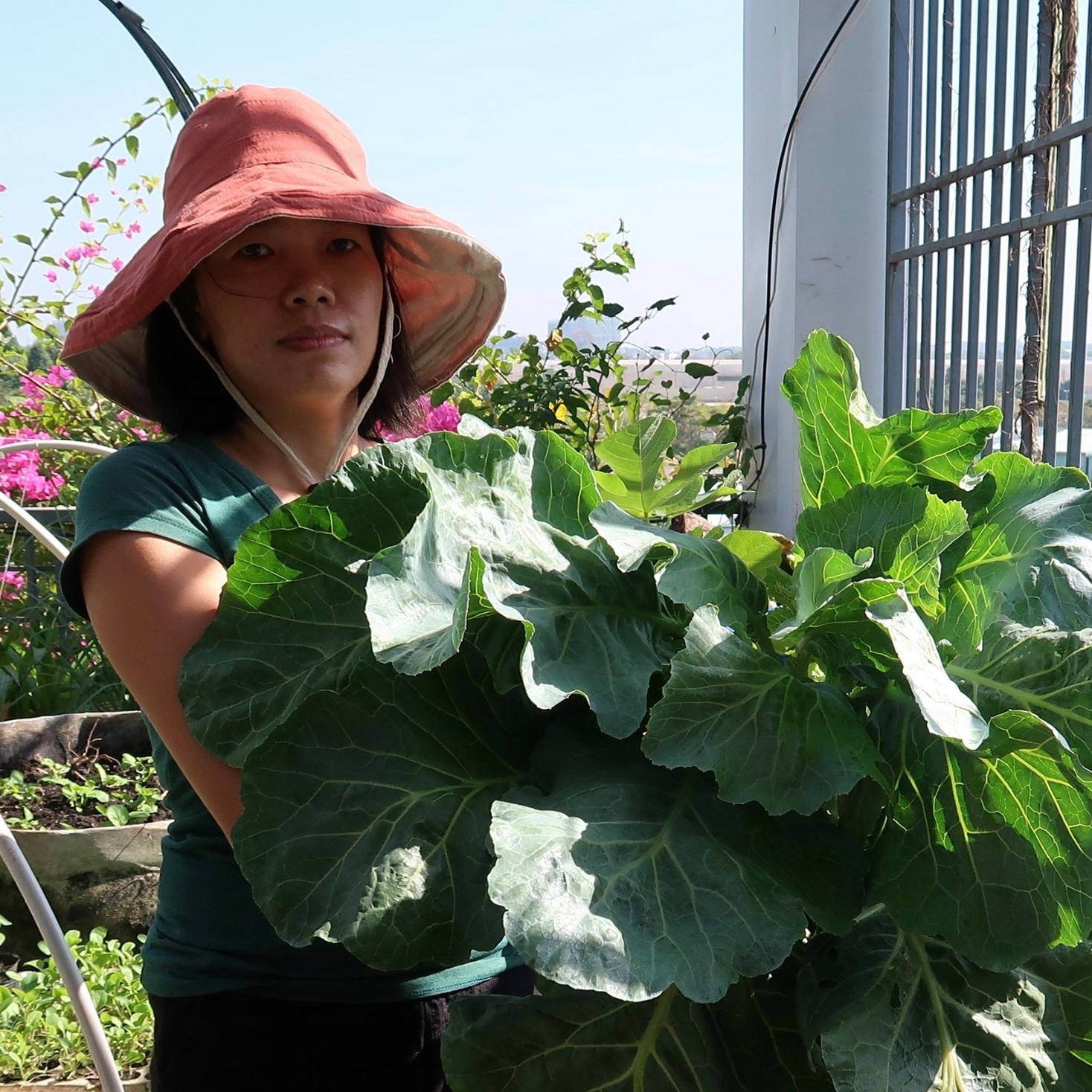 chan viec van phong ve trong vuon rau tren san thuong, van nguoi me hinh anh 1