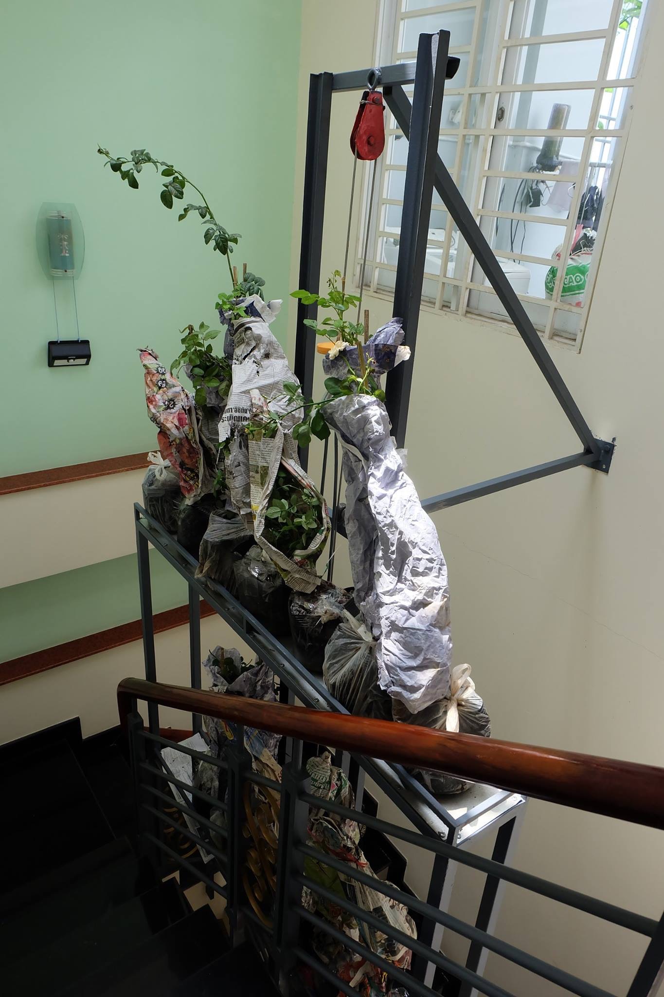 chan viec van phong ve trong vuon rau tren san thuong, van nguoi me hinh anh 4