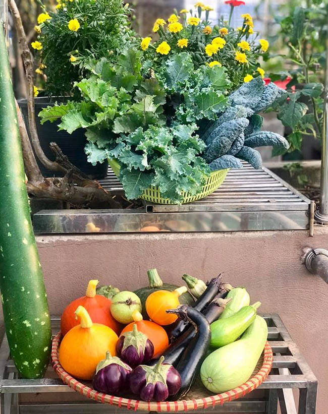 choang voi trang trai nuoi trong