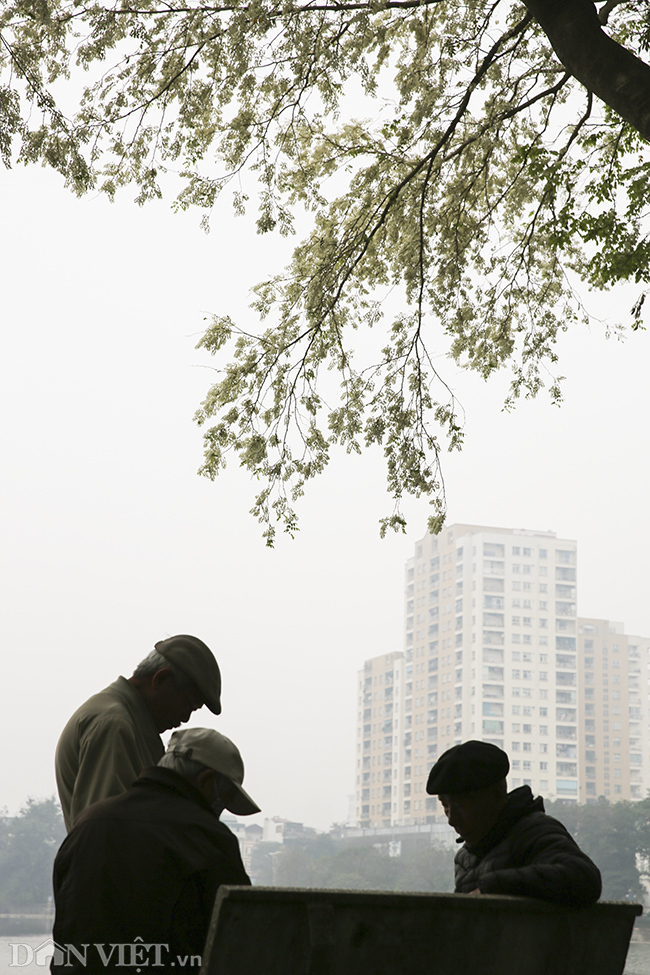 tam hon binh yen den ky la khi ngam hoa sua bung no trang troi ha noi hinh anh 7