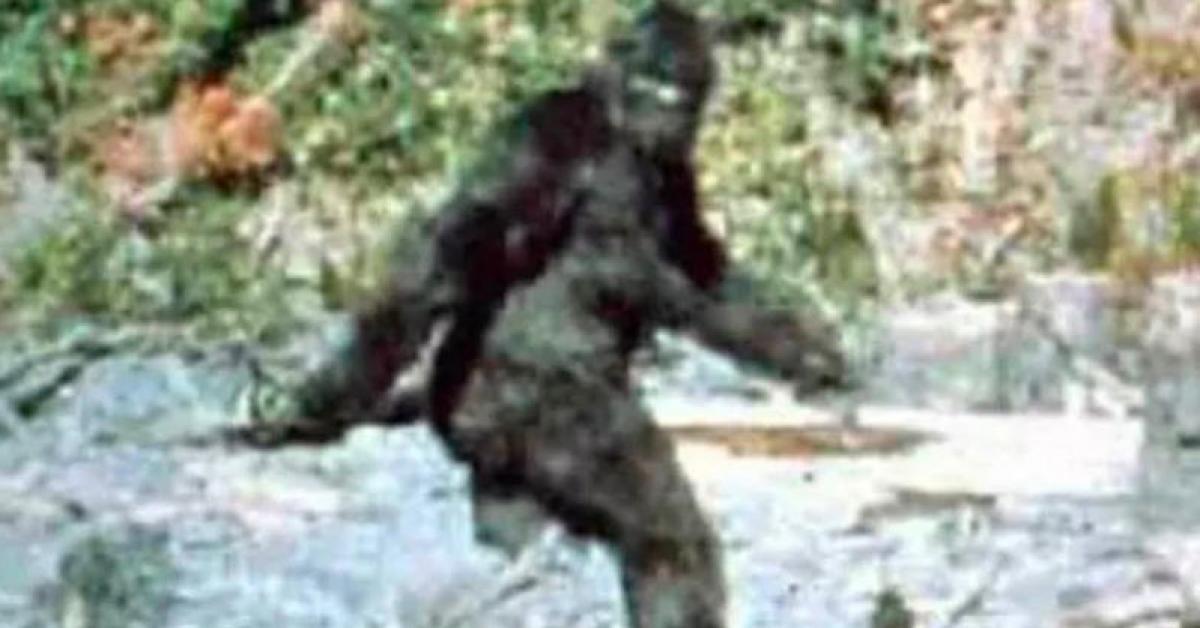 Quái vật Bigfoot nắm giữ bí ẩn về nguồn gốc con người?