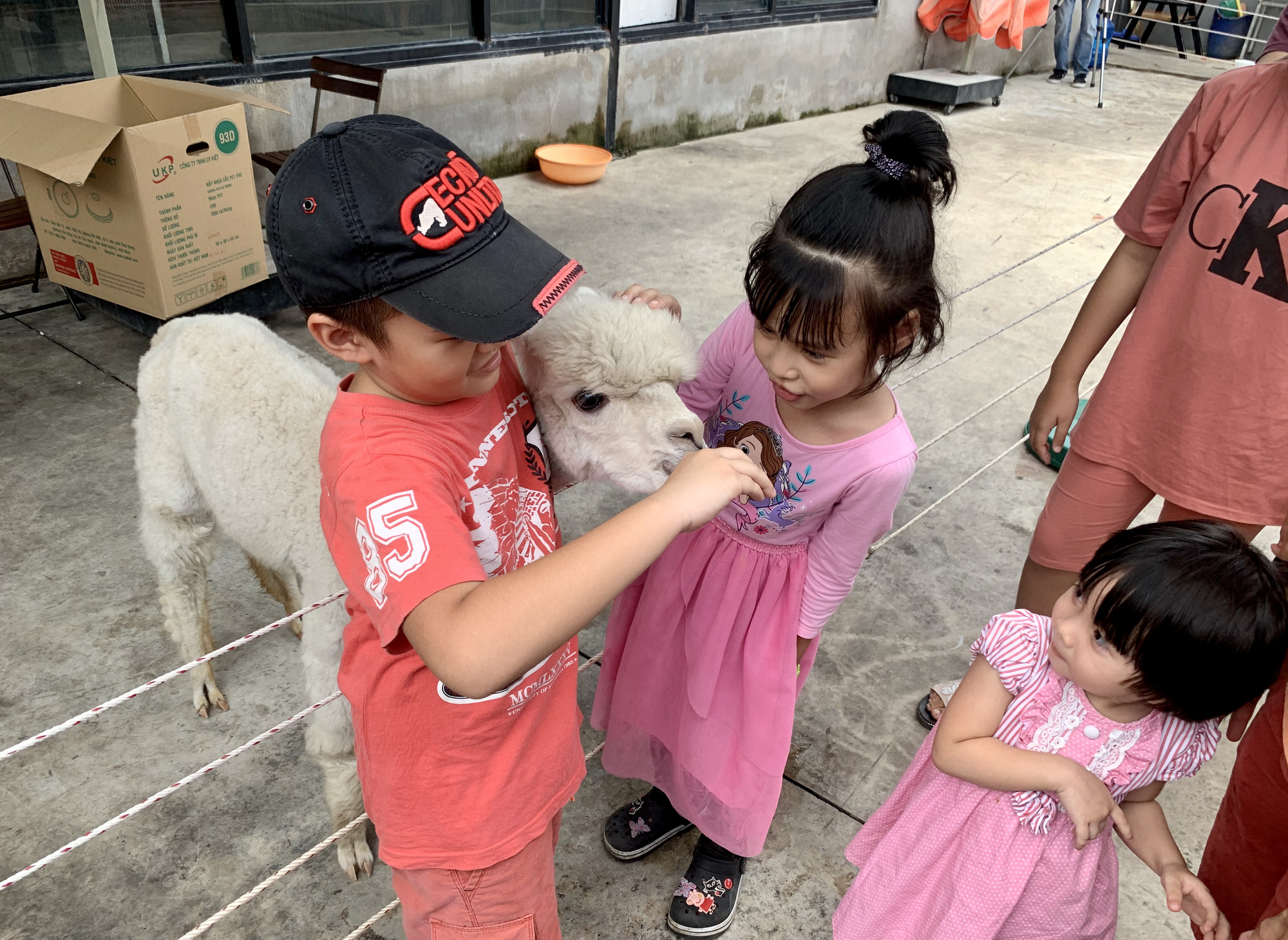 choi voi lac da, ca sau, ran, coc... o so thu mini giua sai thanh hinh anh 15