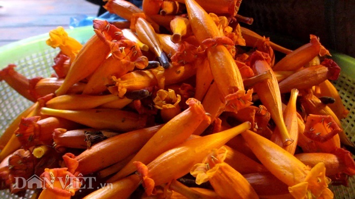 clip: dac san son la, an thu hoa dai mot lan nghien ca doi hinh anh 3