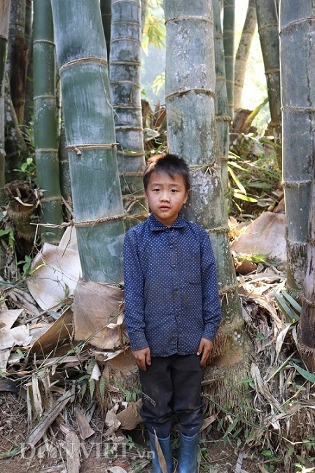 di tim loai tre khong lo vi nhu