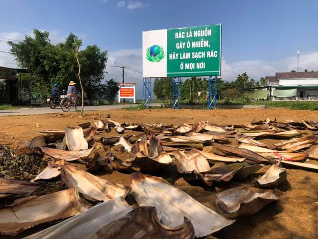 chuyen that nhu dua: nguoi dan ong phu yen mua “rac” ve bien thanh tien hinh anh 7