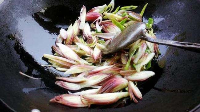 nguòi nhạt gọi là “nhan sam chau a