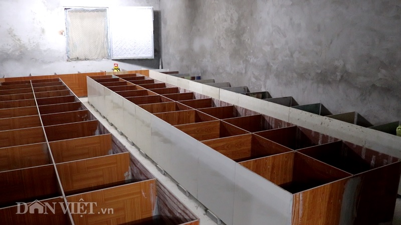 clip: lap dieu hoa nuoi