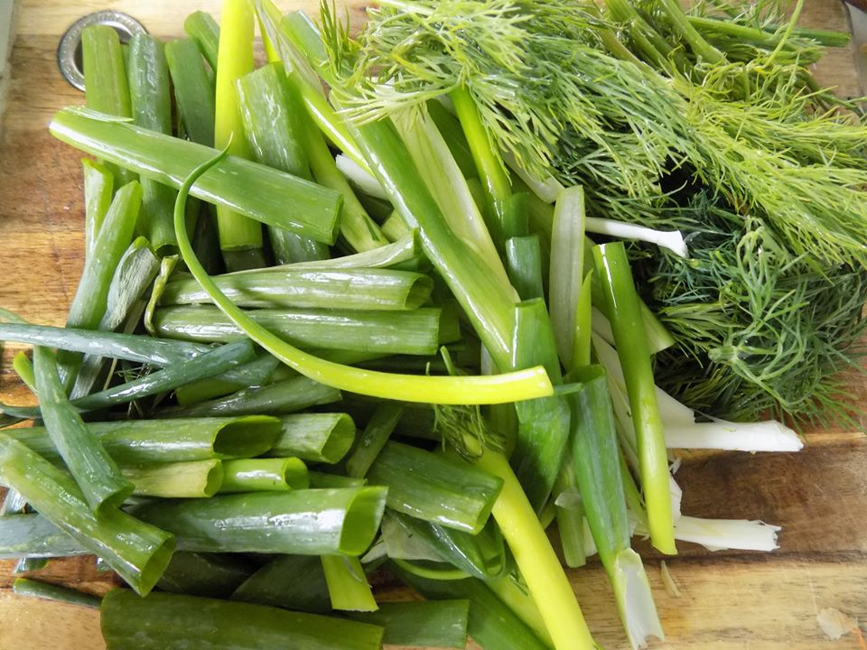 o nha ranh roi ngay dich, lam ngay cha ca la vong chuan vi ha noi dai ca nha hinh anh 2