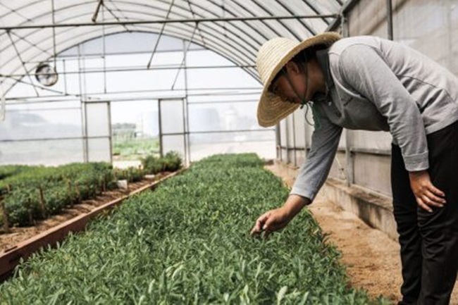 nghe ten tuong vo gia tri, hoa ra o viet nam nay trong nhieu thu tien