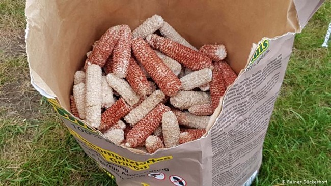 loi ngo la thu vut di o viet nam, nay thanh 