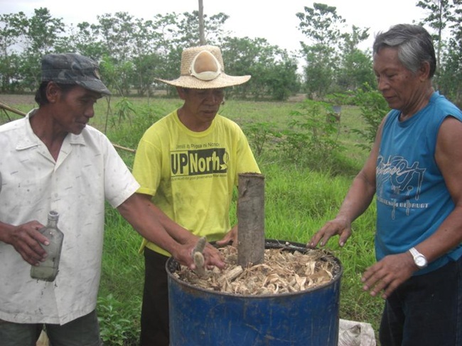 loi ngo la thu vut di o viet nam, nay thanh 