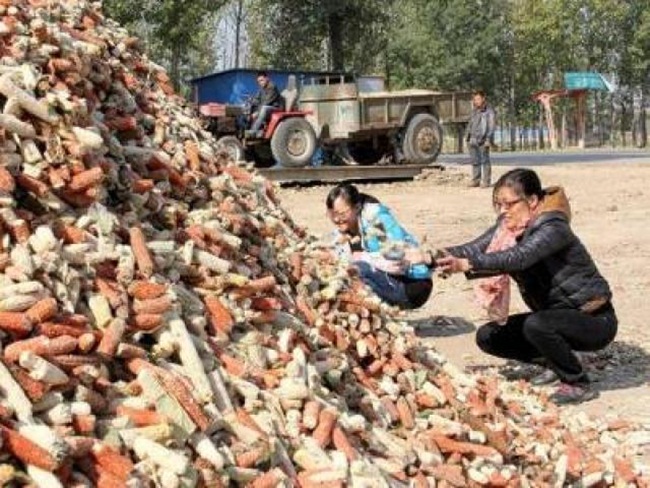 Lõi ngô, thứ vứt đi ở Việt Nam nay thành 'mỏ tiền' không đủ bán Loi-9-1587784199-width650height488