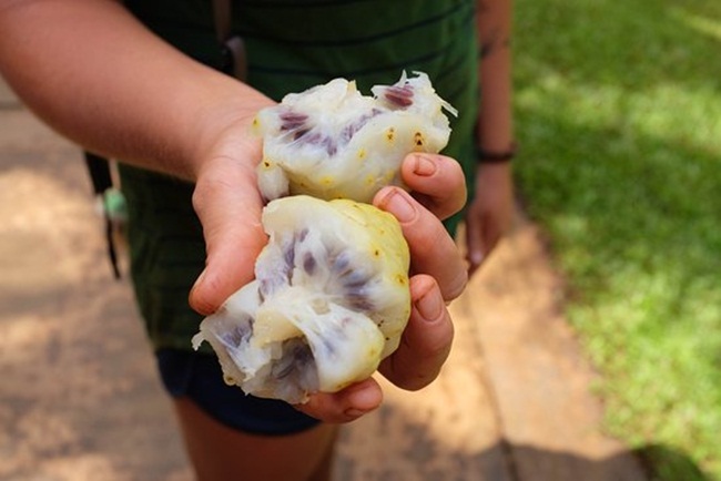 o viet nam qua nay truoc moc hoang, cho khong ai lay, nay ca the gioi lung mua hinh anh 8