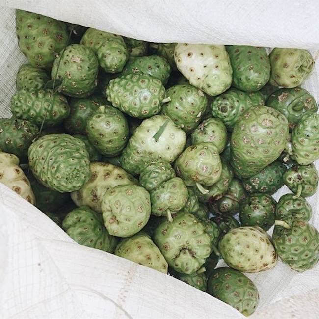 o viet nam qua nay truoc moc hoang, cho khong ai lay, nay ca the gioi lung mua hinh anh 9