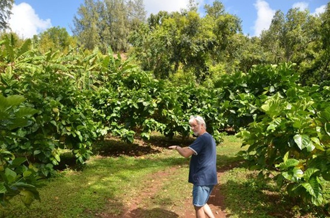 o viet nam qua nay truoc moc hoang, cho khong ai lay, nay ca the gioi lung mua hinh anh 6