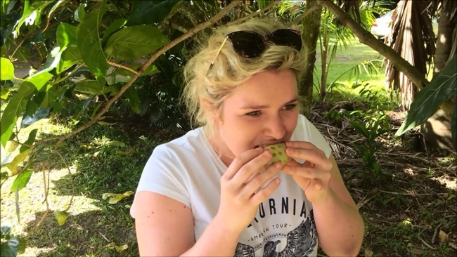 o viet nam qua nay truoc moc hoang, cho khong ai lay, nay ca the gioi lung mua hinh anh 7