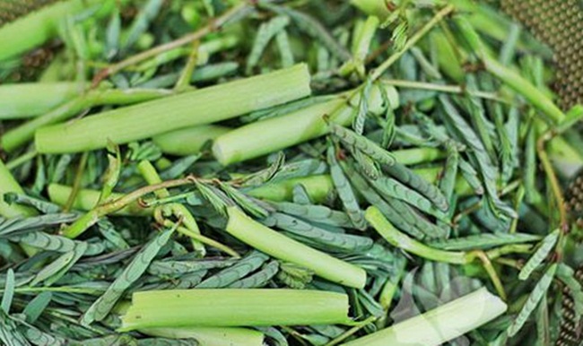 nhin tuong co dai, day ao ho o viet nam, dem ve trong lai co tien