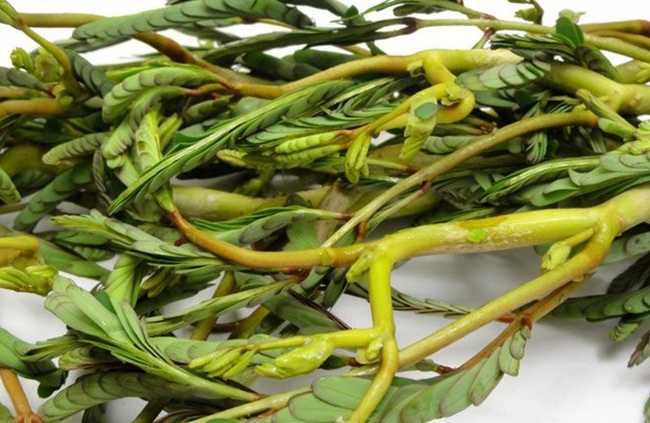 nhin tuong co dai, day ao ho o viet nam, dem ve trong lai co tien